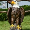 as picture