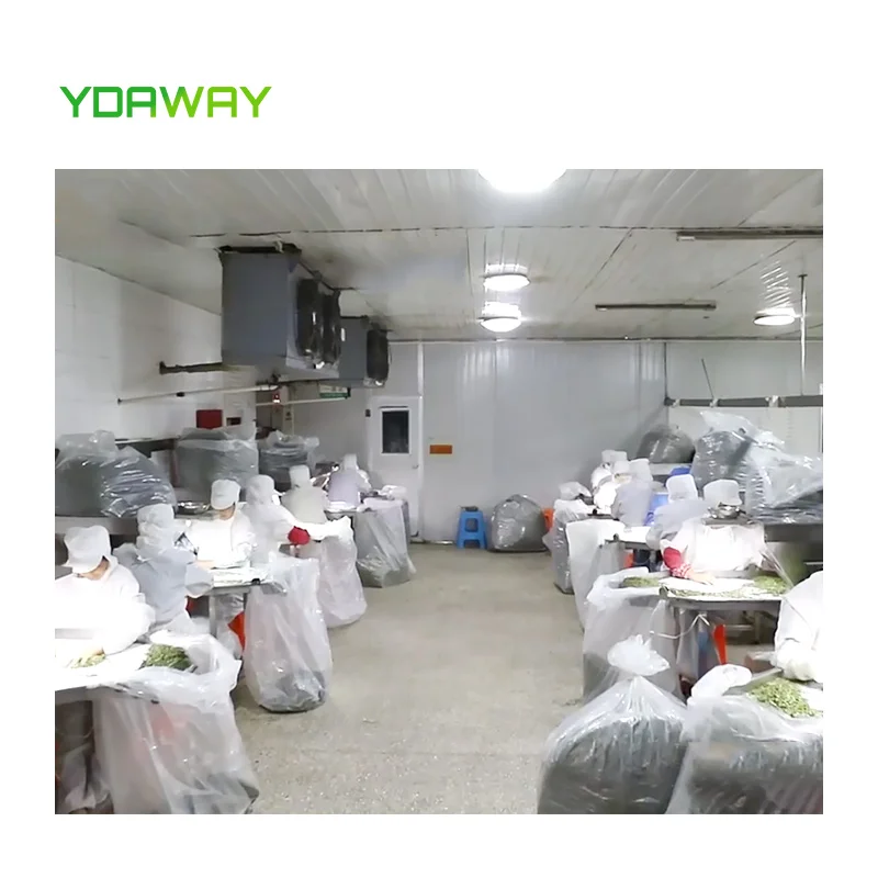 Bulk Dehydrator Fruit and Vegetables Dehydrated/Dried Tomato Powder Flacks Slices