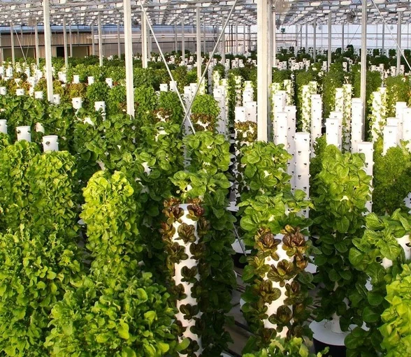 grow tower hydroponic