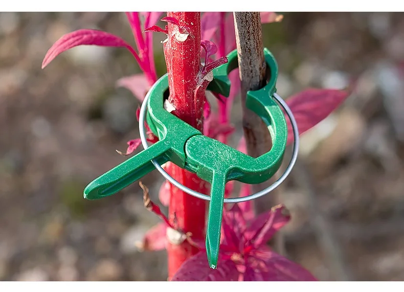 Fixed clip rose climbing vine tomato cucumber buckle seedling vegetable flower stand pole plant binding vine clip support frame details