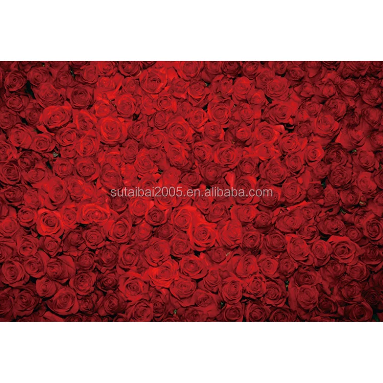 Red Roses Wallpaper For Wedding Paty Personal Portrait Groom And Bride Photocall Anniversaire Valentines Photography Background Buy Wallpaper For Wedding Paty Photocall Anniversaire Valentines Photography Background Product On Alibaba Com