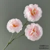 3 hibiscus flowers