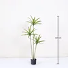 Miniature Agave Potted Plant 130cm