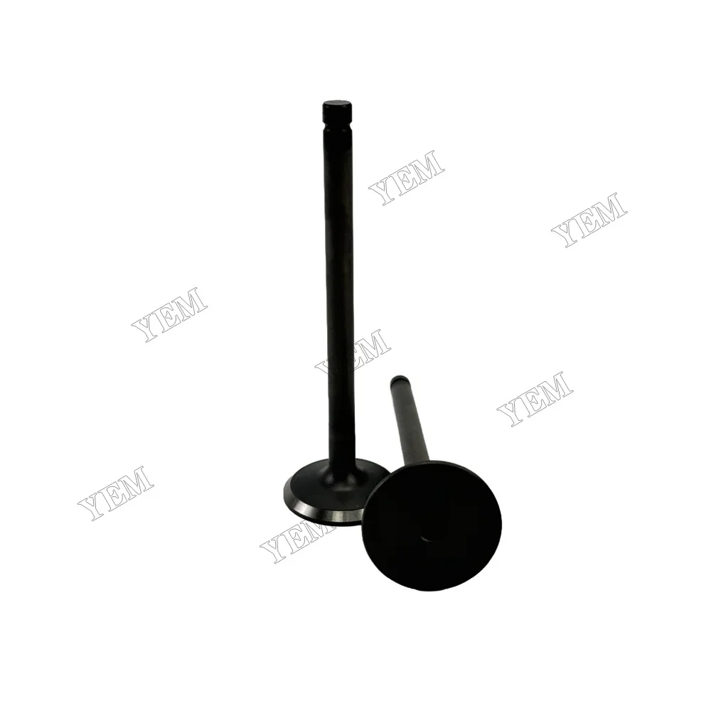 Exhaust Valve Fit for Hino H07C Engine 3