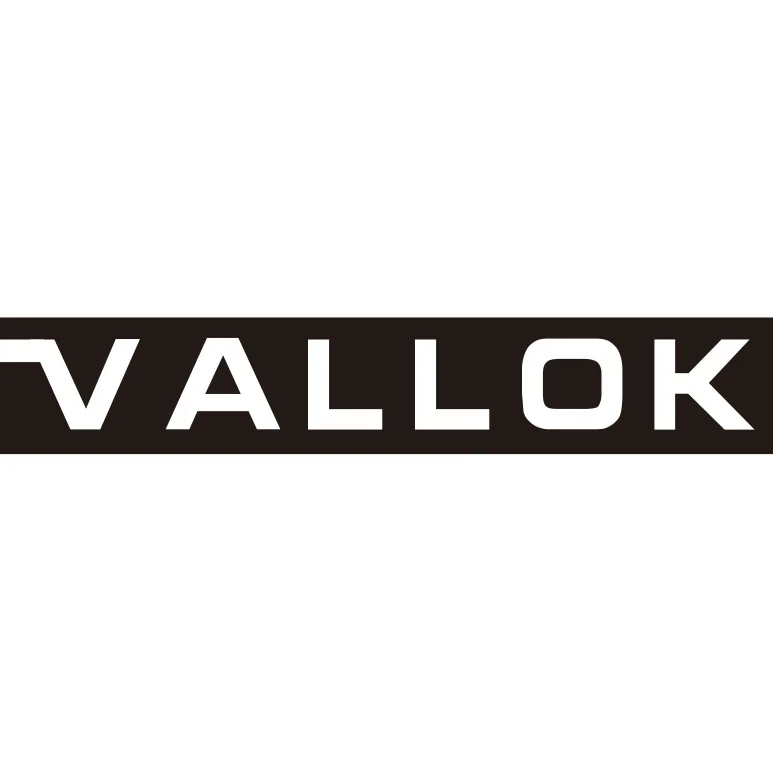 Company Overview - Shenzhen Weilink Technology Co., Ltd.