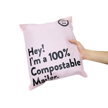Custom logo color biodegradable plastic poly mail express shipping bag clothing envelope mail mailing bag