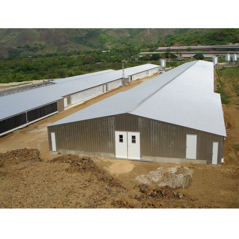 Light Steel Structure Prefabricated Poultry House For 10000 Chickens - Buy Poultry House For 10000 Chickenspoultry Houseprefabricated Building Houses Product on Alibaba.com