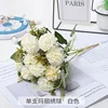 Mary hydrangea white-light leaf