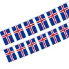 string flag