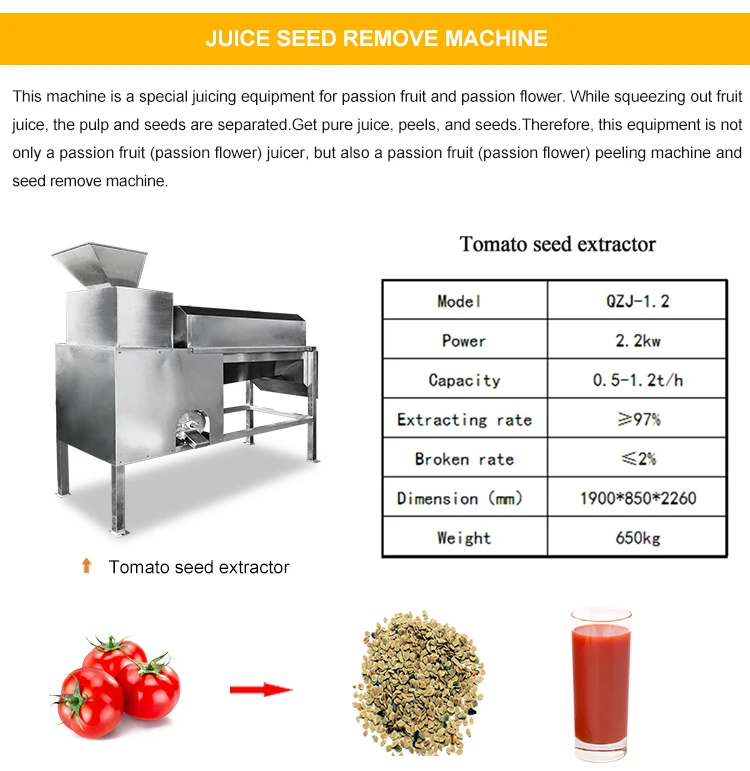 Grape Seeds Separating Pulping Machine Tomato Seed Remover Machine