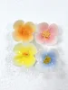สีชมพู # 9