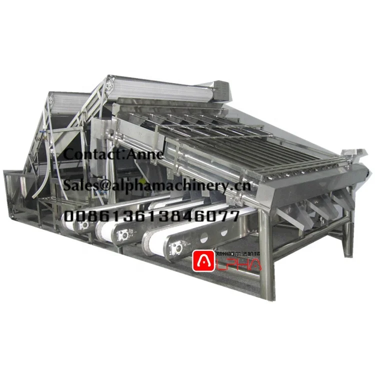 Fish processing Equipment