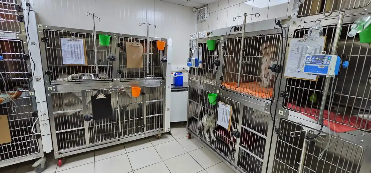 Aeolus Cage Mount Vet Iv Pole Veterinary Drip Stand Veterinary Drip