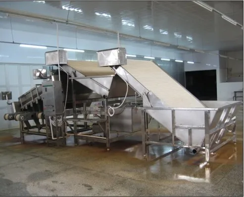 High Accuracy Automatic Fresh Fish Prawn 12 Roller/18 Roller Sorter Machine Shrimp Size Grading Machine