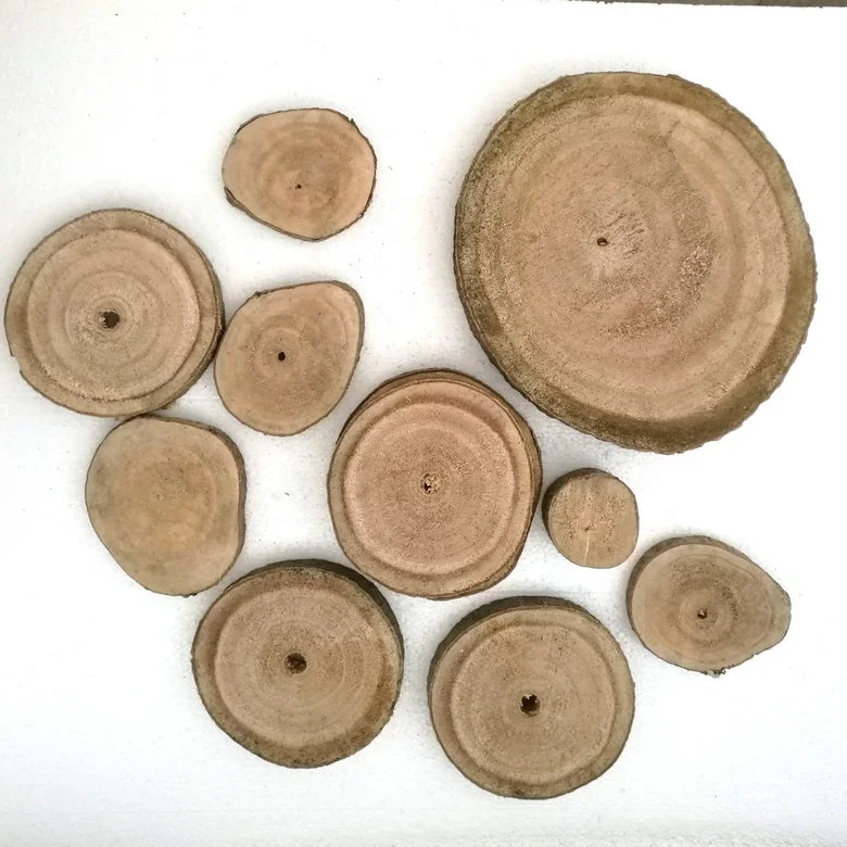 Pao Tong Log Cut Paulownia Trunk Cut Slice with Clearly Rings for Reference