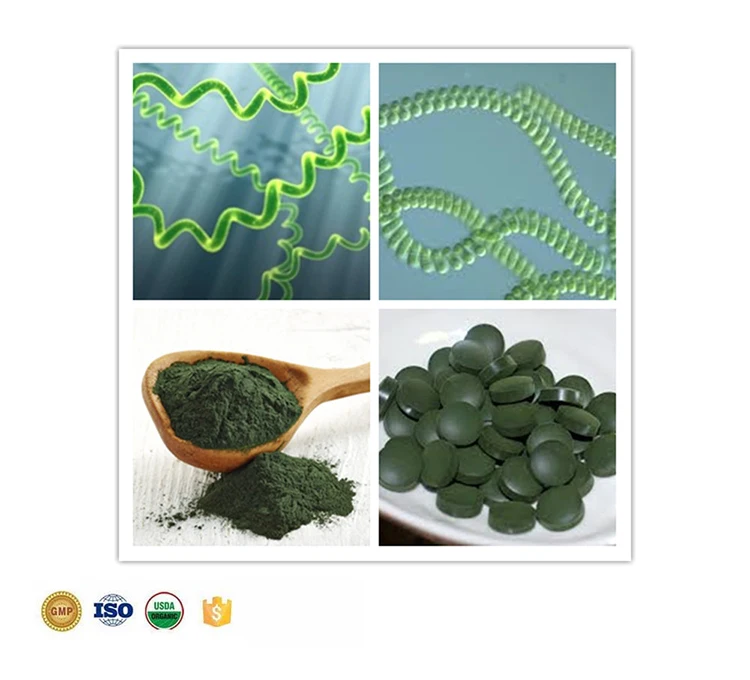 China Bluk Spirulina Tablets Health Natural Spirulina Chlorella Tablets ...