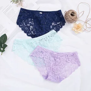 HD308 Romantic Low-Rise Hollow Transparent Lace Floral Plus Size Women's Panties with Logo Breathable Eco-Friendly Lingerie