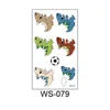 WS-079