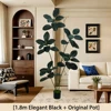 180cm King Kong Tree