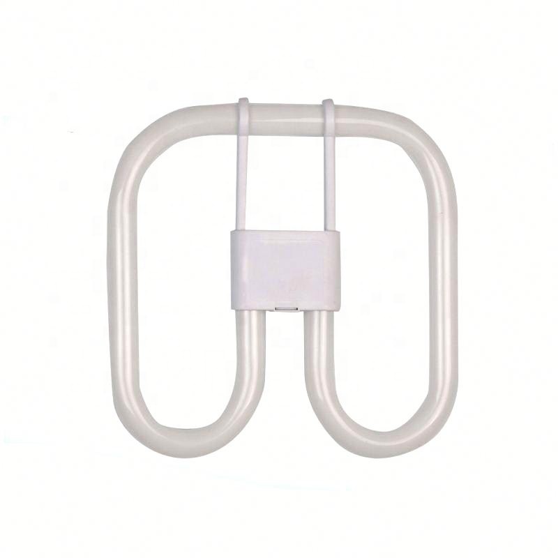 Популярная на рынке Заводская поставка флуоресцентных ламп 2d 21