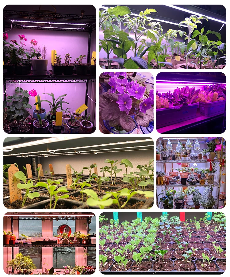 Attachable Led T5 Tube Light Hydroponics Grow Lights for Indoor Plants ...