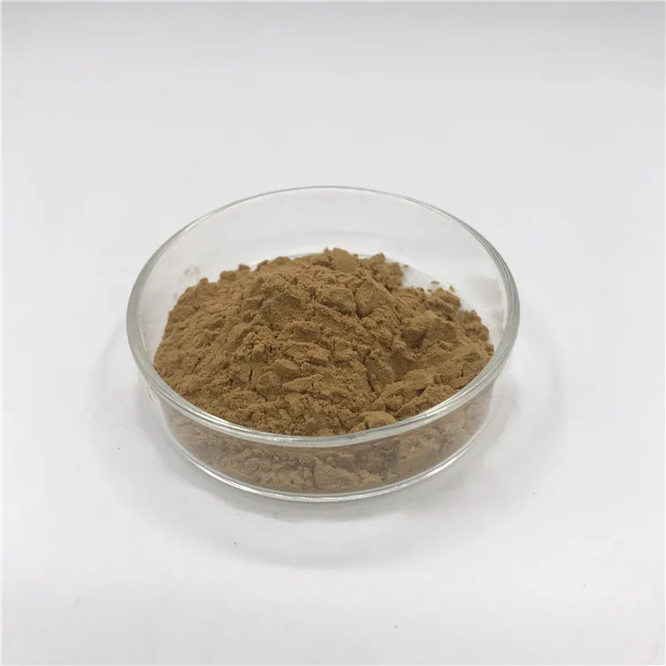 Free Sample Natural Frutescens Perilla Extract Purple Perilla Extract 10: 1 Perilla Leaf Extract Powder