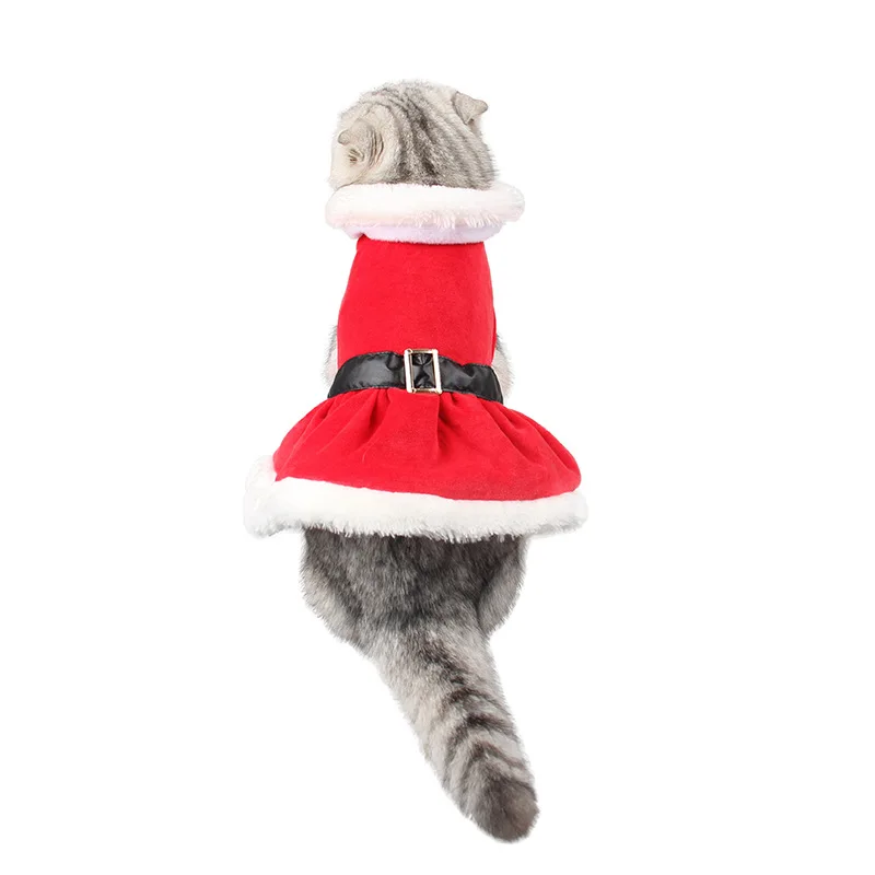 cat holiday clothes