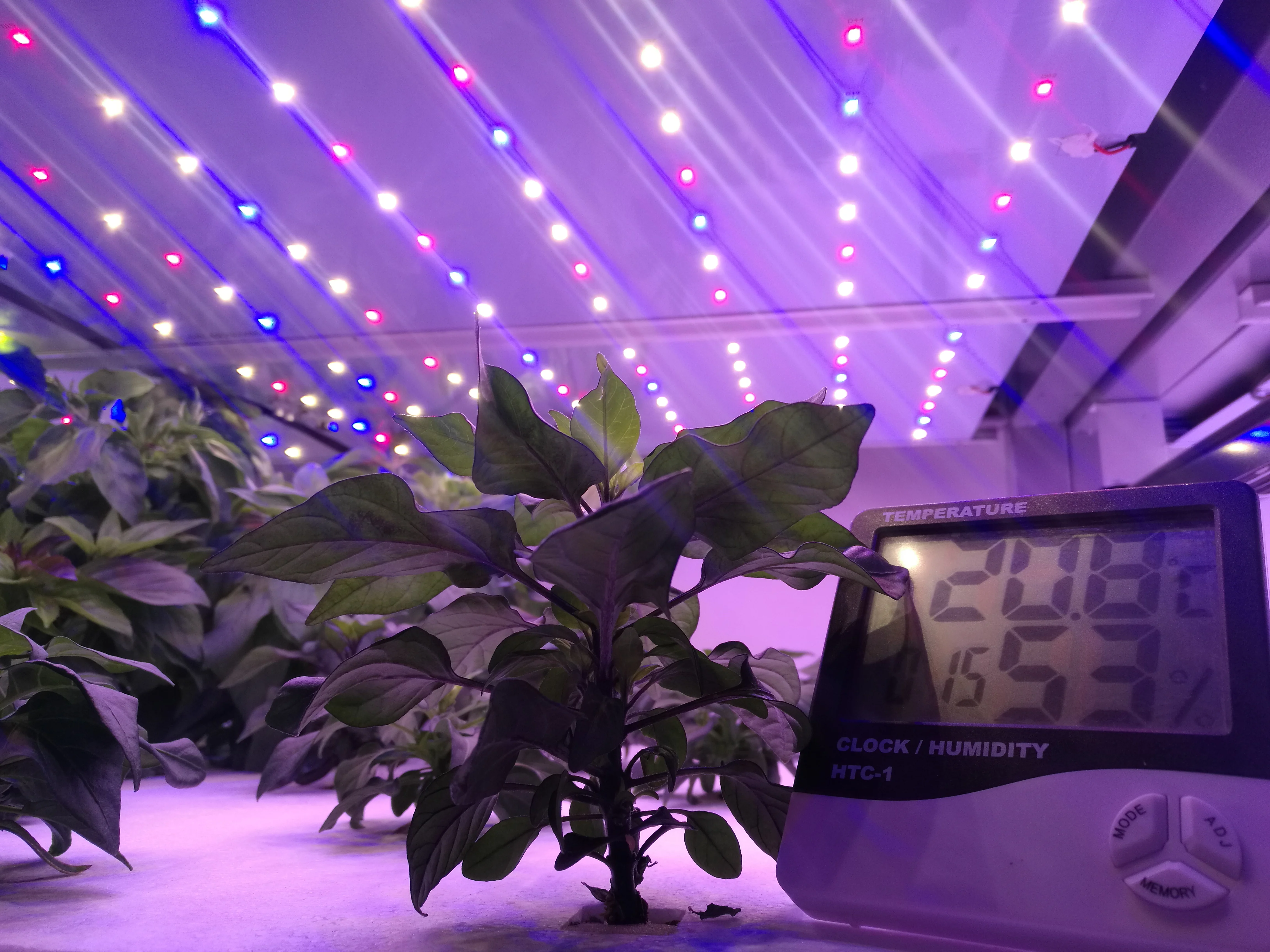Hydroponic System Container Hydroponic Farm  Plant Factory Vertical Indoor Hydroponic Farms