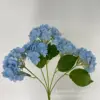 Cielo azul