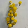 Amarillo