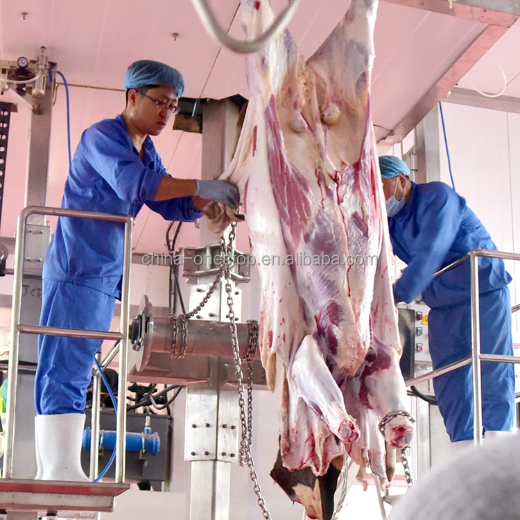200 cow slaughtering equipment slaughtering machine slaughterhouse poultry