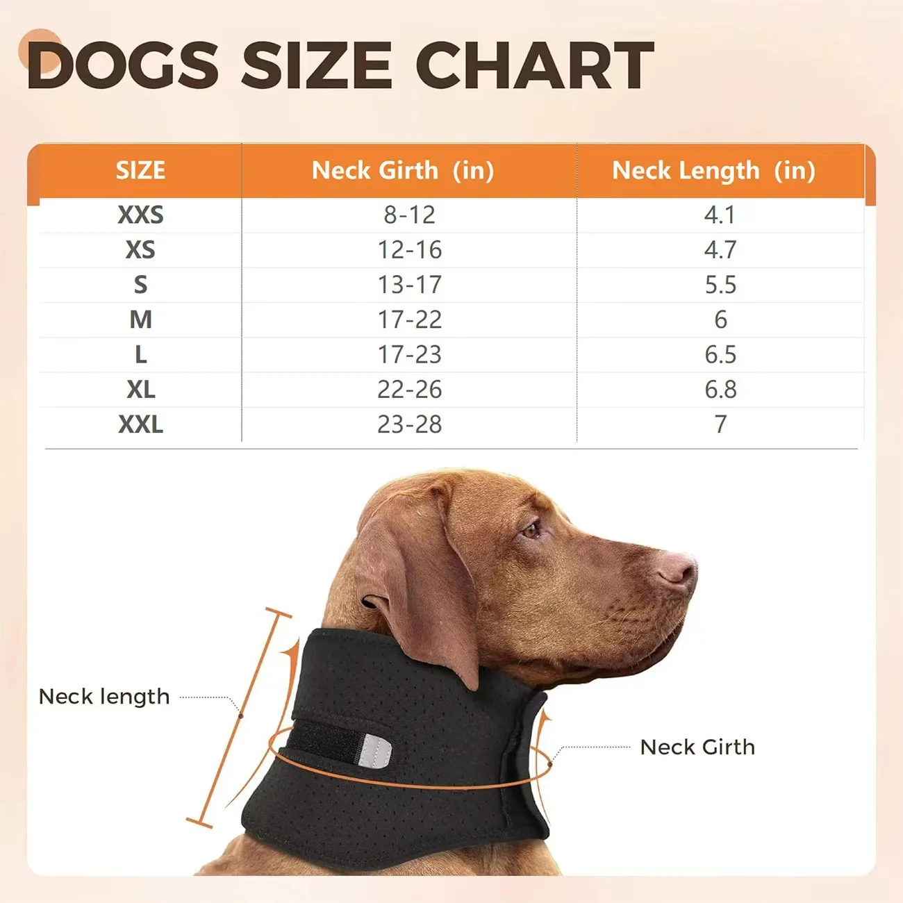 Dog Cervical Collar Neck Brace Supports Cervical Vertebral Sprains Instability Help Dogs Recover From Cervical Sprains
