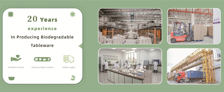 ECO-Friendly Extra Strength White Bagasse Cake Plates Biodegradable and Disposable