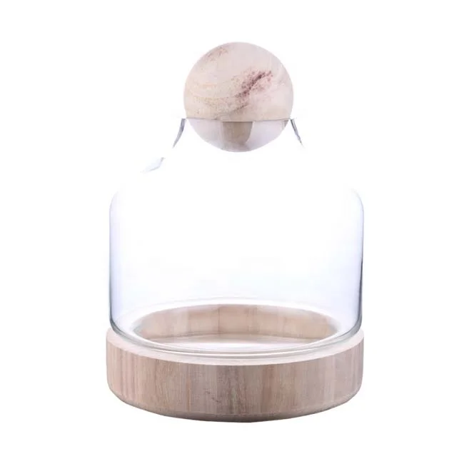 clear glass dome display case heart handle cloche with wood base