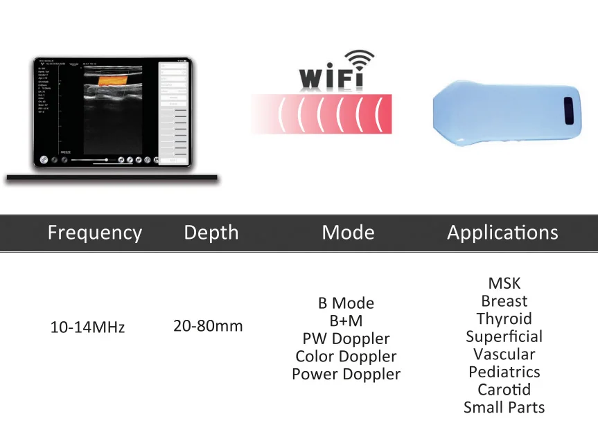 Factory Price Cardiac Sector Phased Array Probe Ultrasonic Ultrasound Linear Probe on Sale factory