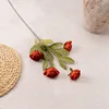 red branch