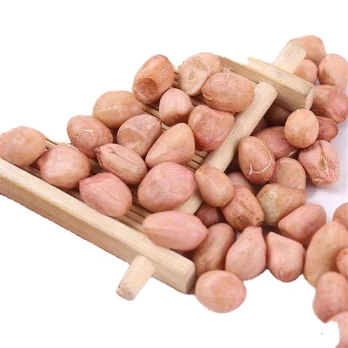 Blanched Importer Crushed Wholesale Raw Unshelled Peanuts Cheap Peanuts Best Peanut Peanut Blender