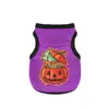 Purple Pumpkin