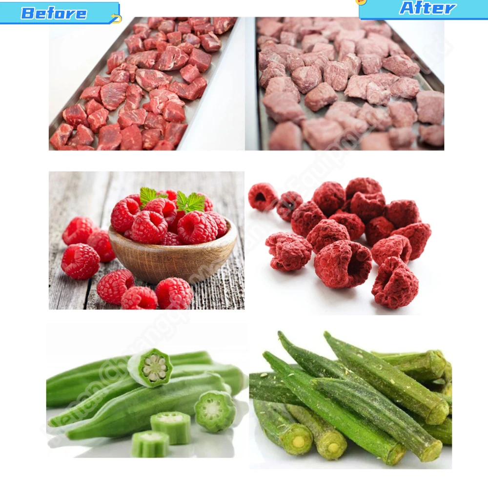 Fruit Vegetable Freeze Dryer Freeze Dryer Machine Set Liofilizador ...