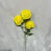 สีเหลือง