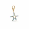 Estrella de mar azul GRJ4708PT