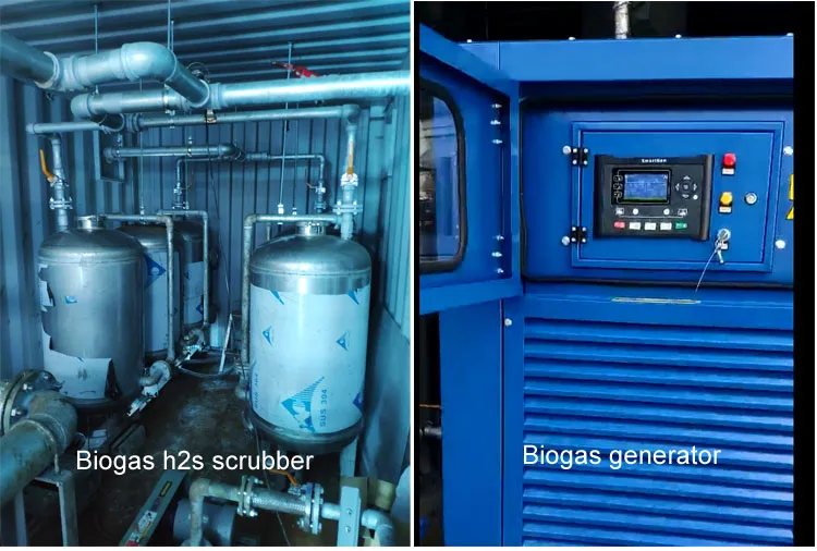 
 PUXIN контейнерная Интегрированная машина для производства биогаза для производства метанового газа и удобрений от навоза скота  