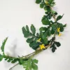 Vite di anguria verde scuro, lunga 1,7 metri