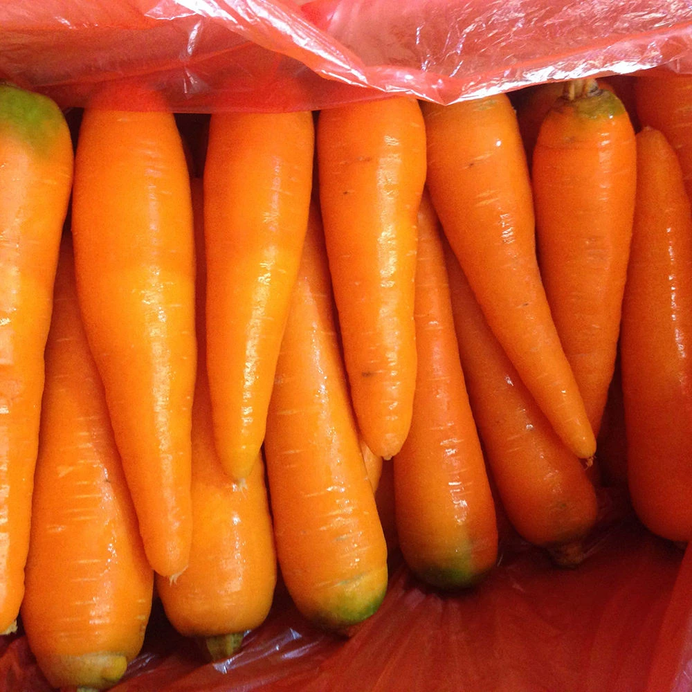 Dehydrated Vegetable Wholesale | Bulk Supplier H0de39cf4b46346859e048ddeae9bd54fU