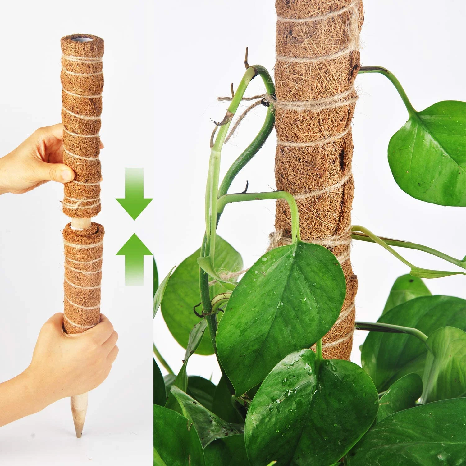 Plant Growth Auxiliary Coco Coir Totem Pole Coconut Coir Stick Coco