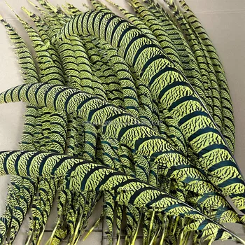 Supplier Premium Overdyed Zebra Pheasant Feathers for Party Decorations