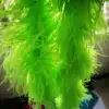 Vert