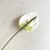 Blanco y verde