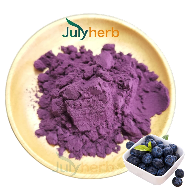 100% water soluble Freeze-dried blueberry powder 