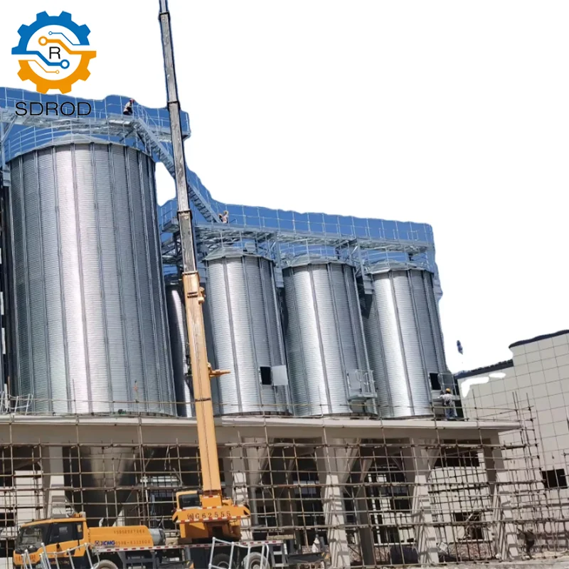 SDROD Customized Automatic Galvanized Steel Silo Poultry Equipment System for Farm Livestock Grain Maize Storage Warehouse